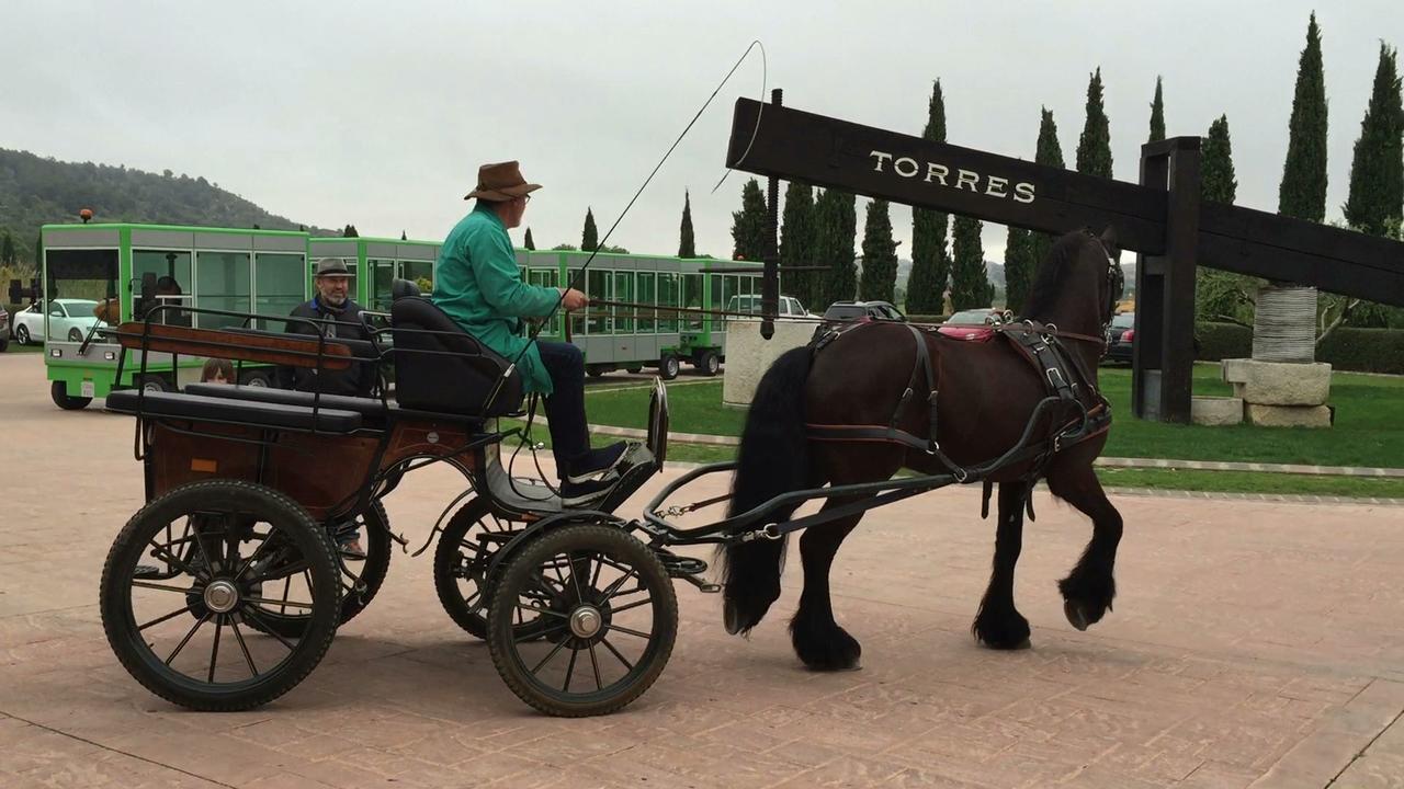 Hotel Rural Cal Ruget Vilobi Del Penedes Zewnętrze zdjęcie