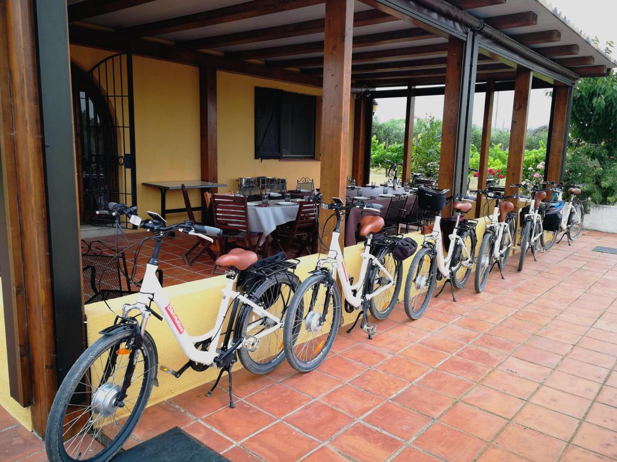 Hotel Rural Cal Ruget Vilobi Del Penedes Zewnętrze zdjęcie