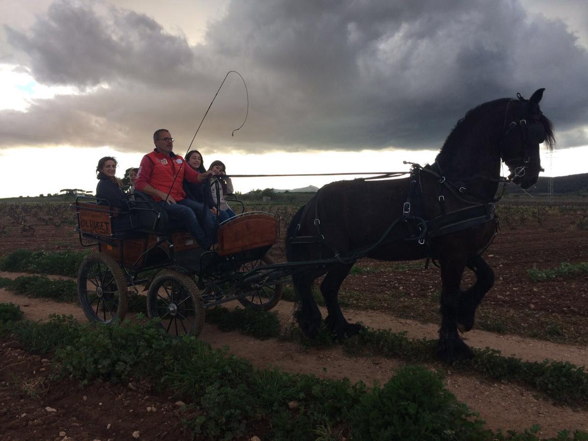 Hotel Rural Cal Ruget Vilobi Del Penedes Zewnętrze zdjęcie