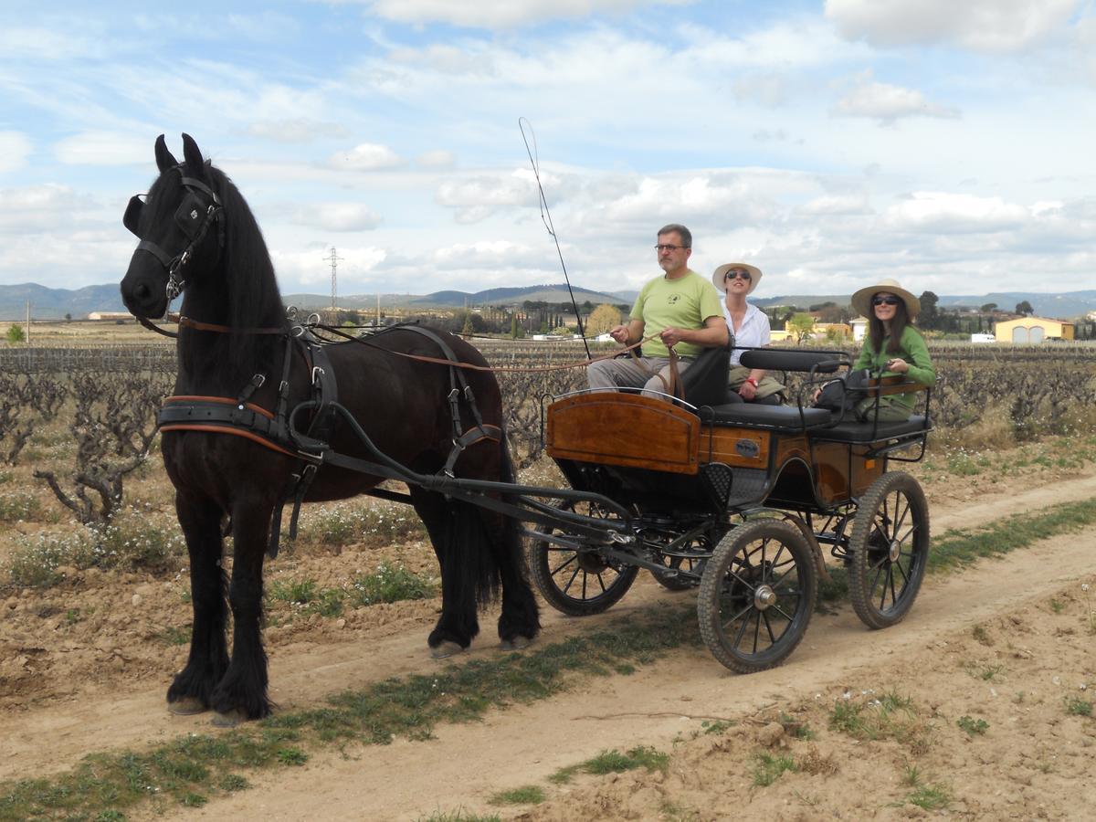 Hotel Rural Cal Ruget Vilobi Del Penedes Zewnętrze zdjęcie